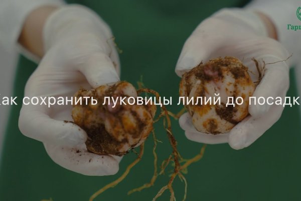 Кракен правила площадки
