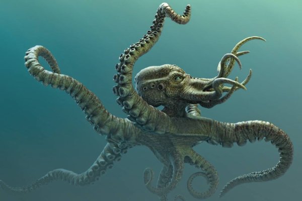 Официальный сайт kraken ссылки зеркала