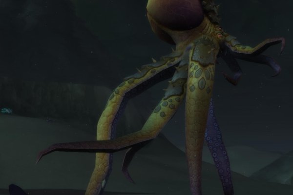 Как вывести деньги с kraken