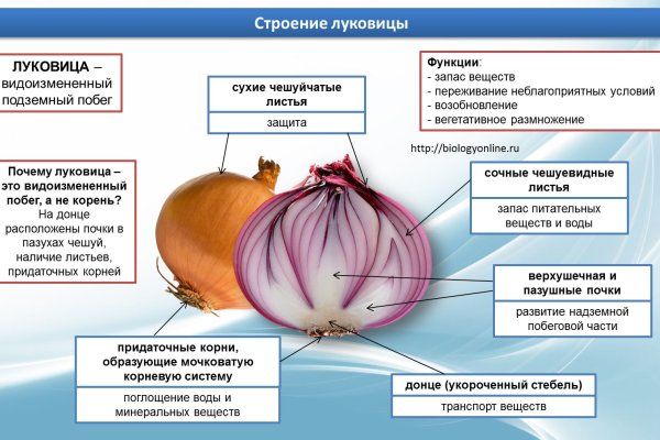 Кракен современный даркнет